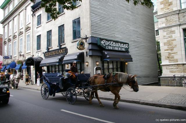 Horse Carriages traverse a street in Old town Quebec City.jpg
