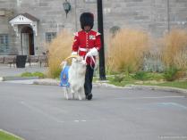 Maitre Chevrier and Batisse the goat at La Citadel in Quebec.jpg