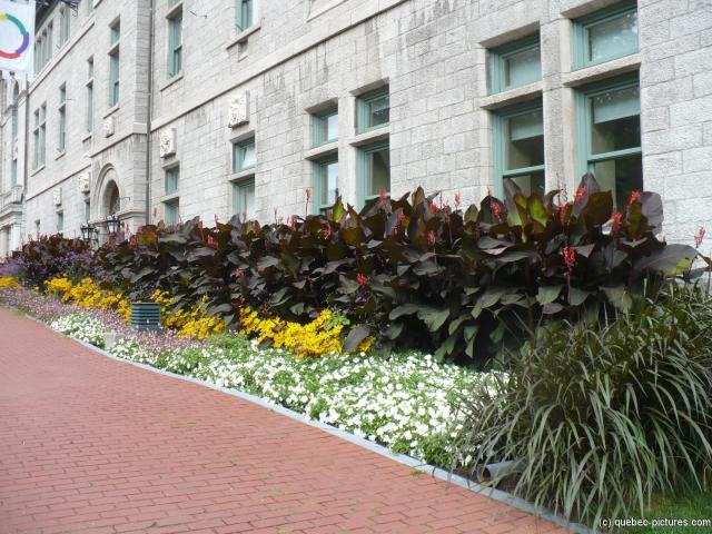Plants and flowers line a government building in Quebec City.jpg
