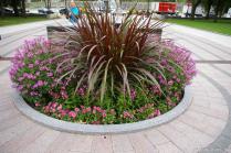 Plants in a circular garden area in front of the Quebec Parliament Building.jpg