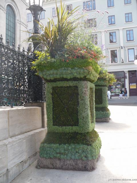 Tall plant lined planters in old Quebec City.jpg
